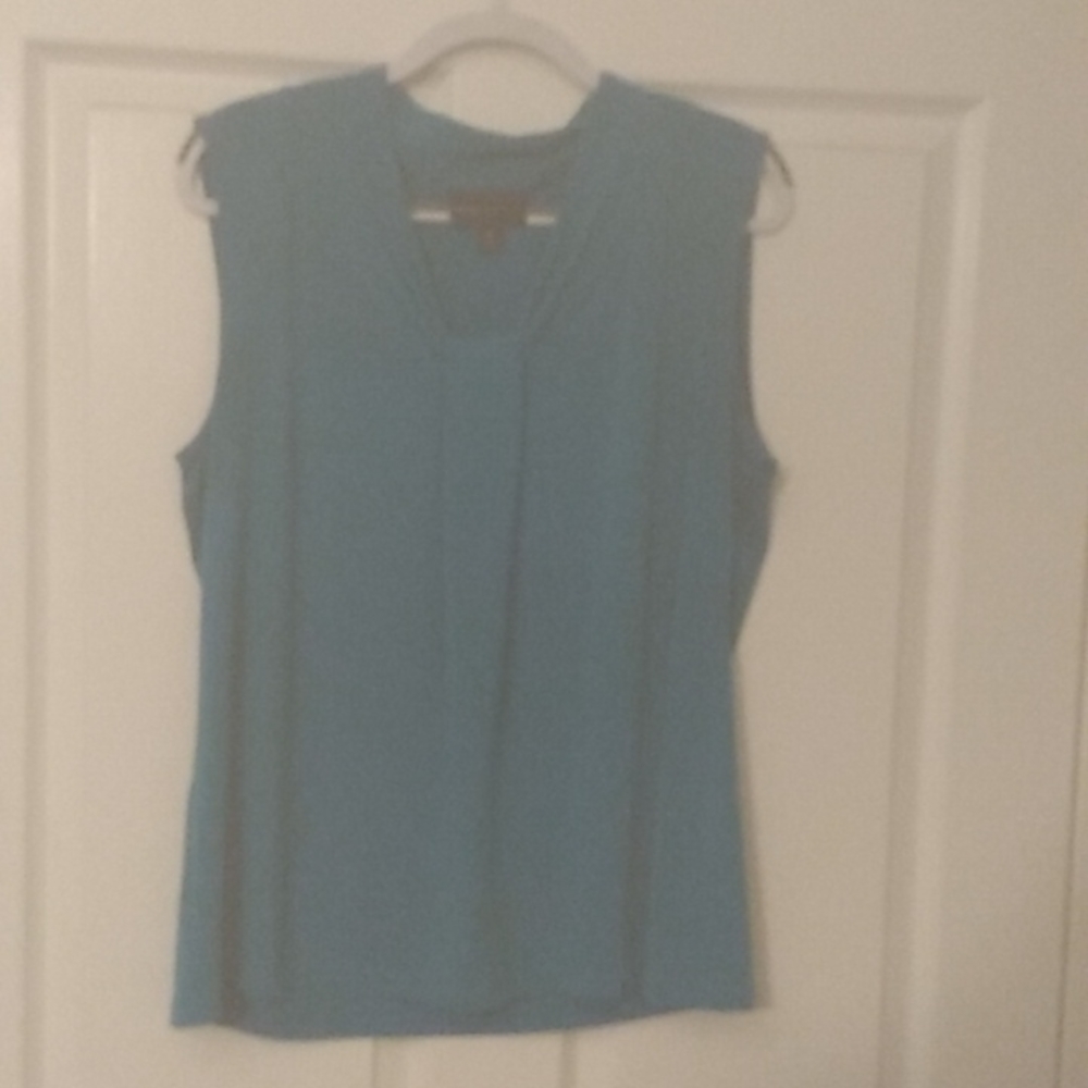 Dana Buchman, extra large, turquoise